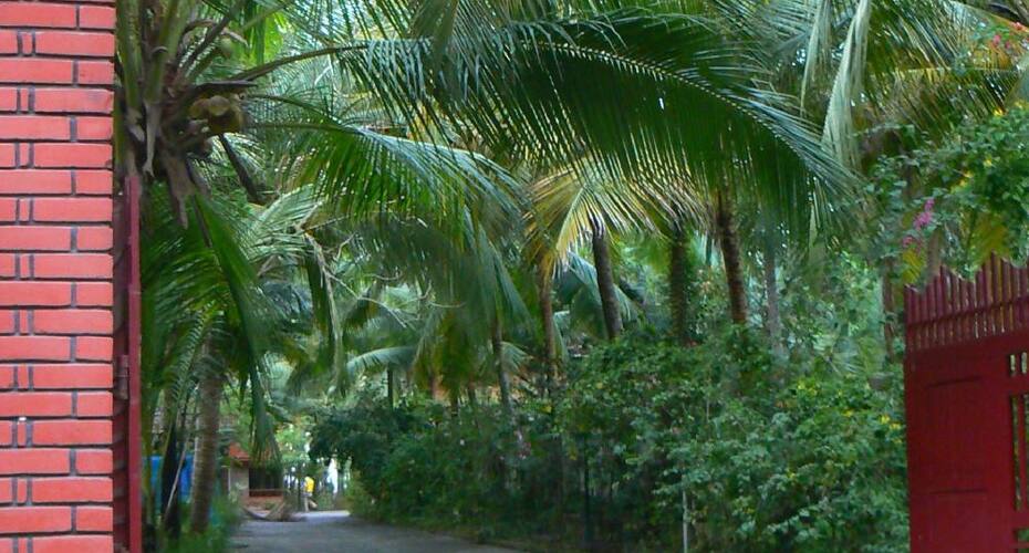 Wild Palms On Sea Homestay, Thiruvananthapuram 5